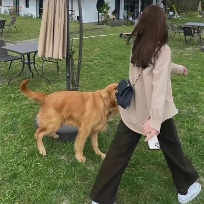 阿曼德